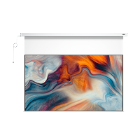 PureVision Anti-Speckle Motorized Drop-Down Screen