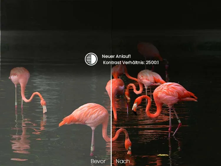 Verbesserte Schwarzdarstellung dank Laser-Dimming beim LTV-3000 Pro Beste Beamer, Flamingo-Vergleich.