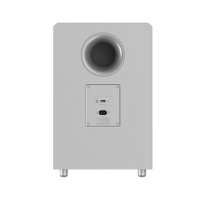 Rückseite des AWOL Vision Subwoofers mit Anschlussoptionen für kabellose Beamer Lautsprecher im Surround‑Sound‑System.